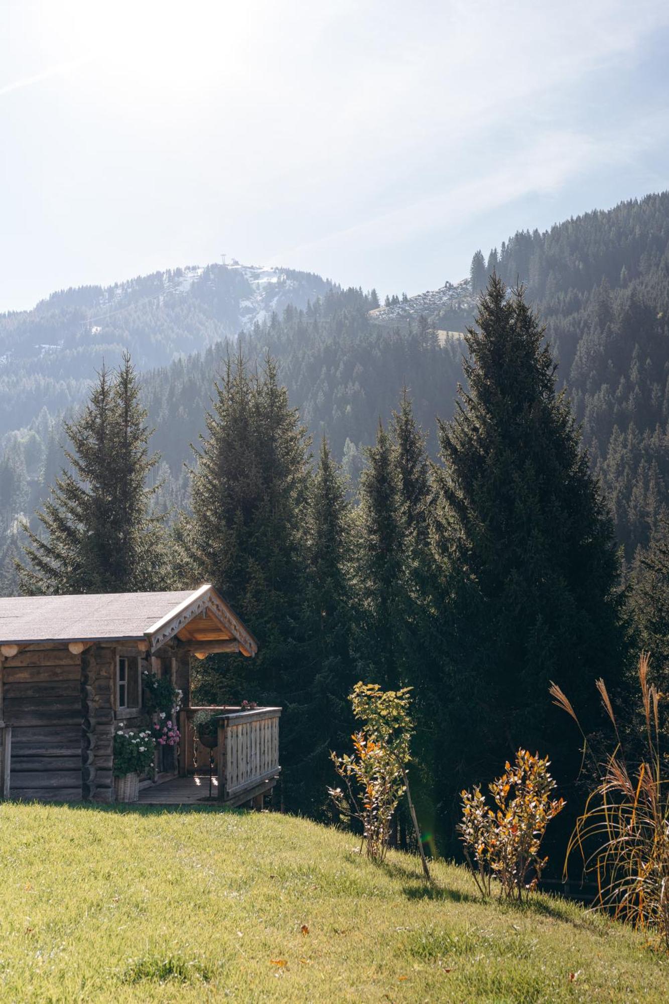 Bed and Breakfast Haus Spieleck Saalbach Exterior foto